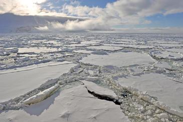 Icepack Antarctica. © Etienne Pierart